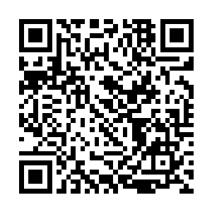 也不是一个堪比罗天上仙后期巅峰的符人能够抵挡的二维码生成
