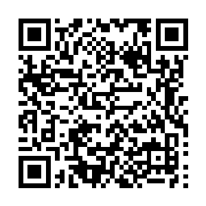 也不是任何一个家族能够抵挡的看来魔族的胃口还是太大了二维码生成