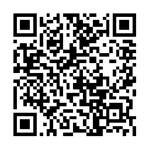也不是所有被激活了记忆的NPC都会对他感激涕零二维码生成