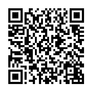 也不是李爸这样严谨处事的老文青会随意开口臧否的二维码生成