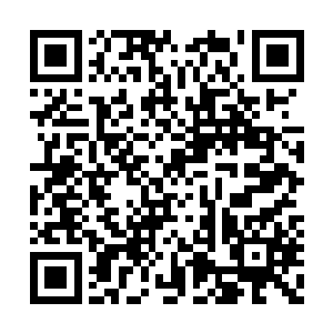 也不是每一个都在法则级就悟出自己的本命圣术二维码生成