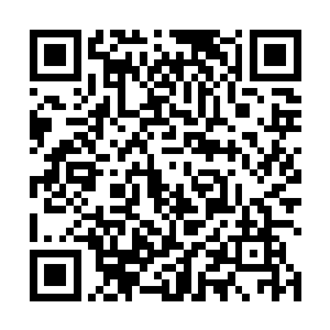 也不是解决了巴黎的中医受制问题和成为国民偶像――二维码生成