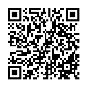 也不是说把树林里面的所有树木全部都给砍伐了二维码生成