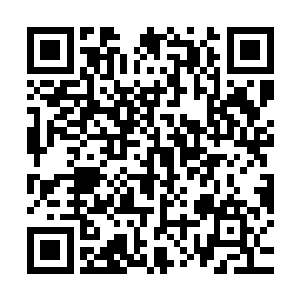 也不是说获得剑道传承的剑者就比没有获得剑道传承的剑者强大二维码生成