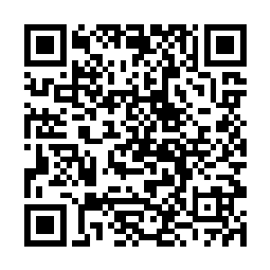 也不是随便哪个人拎出一个剧本都可以有这样的价格二维码生成