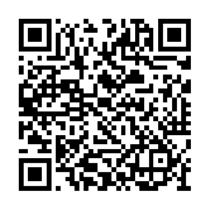 也不枉他小小年纪就为他们俩的事情愁翻了脑袋二维码生成