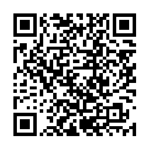 也不枉我们千辛万苦地挑出了今天这么个好日子了二维码生成