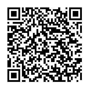 也不比这小龙小凤凰稍差……但这股生生之气对银鳞金冠蛇的意义却是莫大二维码生成