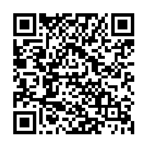 也不理解柳倩依为什么认为开启此阵就能对付血卫军团二维码生成