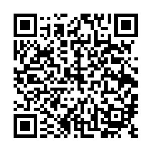 也不知是回光返照还是扈秋娘给她喂下去的那半盏热茶有用二维码生成