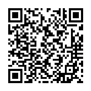 也不知有多久没有出现一位太始境五重天的强者了二维码生成