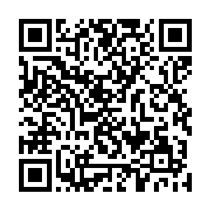 也不知道主人回来后发现插板被修好了会不会感谢自己呢二维码生成