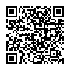 也不知道他们是怎么忍受让这些胆小鬼欺负了这么久的二维码生成