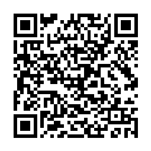 也不知道他们的祭司大人怎么就看上这么一个家伙二维码生成