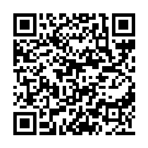 也不知道他们究竟会决定怎么样去走接下去的路二维码生成