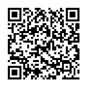 也不知道使用了什么办法一把拉来后直接张口吞噬二维码生成