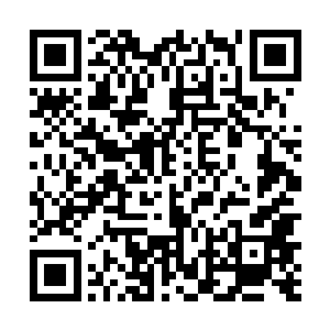 也不知道夏侯家中竟然藏有一张记录着阵法的古羊皮卷二维码生成