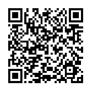 也不知道大姑奶奶这次说了什么惹得夫人竟然改变初衷了二维码生成