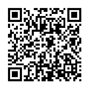也不知道夭华为什么一见到他后要故意说这些话二维码生成