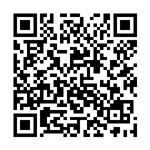 也不知道她是有了逃跑的后招还是根本就不在乎自己被抓二维码生成
