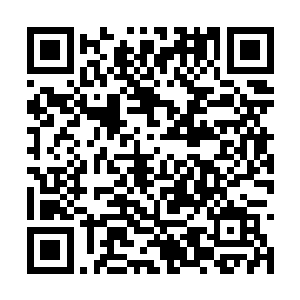 也不知道姜美玲是领会错了张小凡那个眼神的含义二维码生成