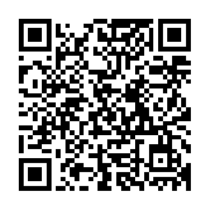 也不知道对方究竟是干了多少年的杀手才能拿到六道杠的存在二维码生成