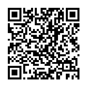 也不知道师傅这一次是不是真的狠下心来想要大师兄的命二维码生成