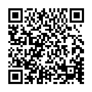 也不知道我早就发现星君舰而准备好了陷阱守株待兔……哦二维码生成