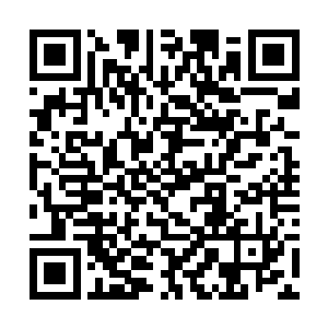 也不知道是不是听到了自己和七彩神尼那边的动静了二维码生成