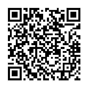 也不知道是因为夜晚的缘故还是因为在山林的缘故二维码生成