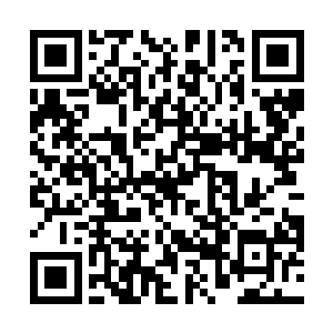 也不知道是在骂哲罗姆还是在骂诺曼帝国的铁角军团蛋二维码生成