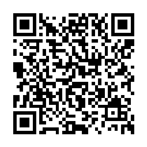 也不知道是天然的游吟诗人的血液浪漫主义作祟二维码生成