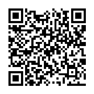 也不知道是遭遇了危险还是掉进了什么阵法禁制中二维码生成