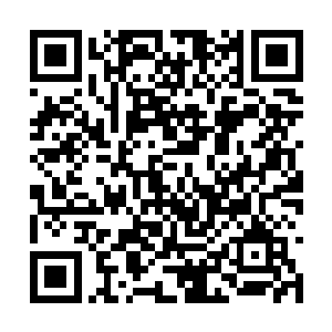 也不知道是酒后起兴还是王燕是在是太过妖娆性感二维码生成