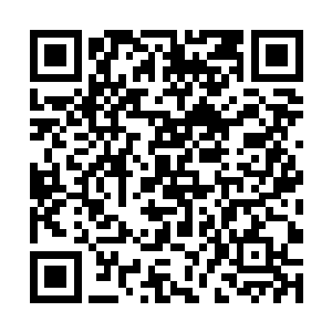 也不知道有多少异族骑士在这三个字面前气都不敢喘二维码生成