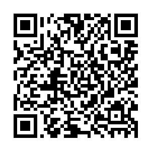 也不知道白兰到底想想把她的指甲到底修到什么样子二维码生成