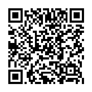 也不知道老白跟随的大仙到底是个什么样的人物二维码生成