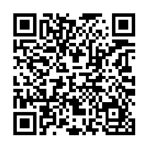 也不知道还能不能再见到你……厉鬼墓这一趟结束之后二维码生成
