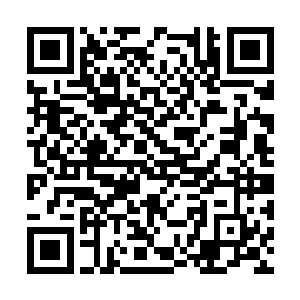 也不知道这个家伙现在顺利到达毛里克斯拉尼没有二维码生成