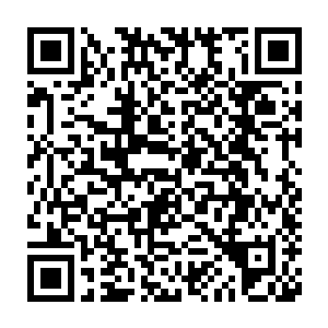 也不知道这二尾猫雷兽是否能够突破雷兽洞这千多年来对雷兽的限制二维码生成