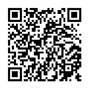 也不知道那些伐木工是怎么在这样的环境中工作的二维码生成