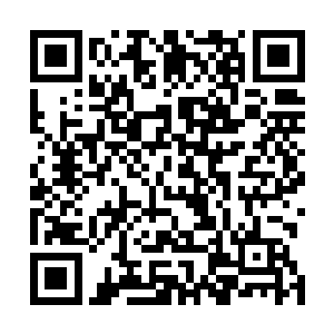 也不知道那柿子知不知道那不功法里还藏着这么一个宝贝二维码生成