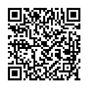 也不等陈易清与柳梦露回话就独自朝着二楼走去二维码生成