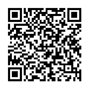 也不算是偷跑――就是打伤了两个抓我的人――秦老师二维码生成