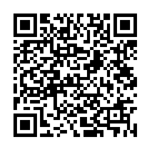 也不管不顾外面的那些实力强横的七星以上的杀手二维码生成