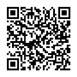 也不管张羽是真没听过卢克斯里家族还是假没听过二维码生成