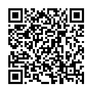 也不能不防着他调动世龙家族的军队来攻打仙帝宫二维码生成