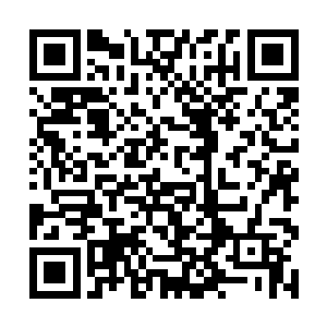 也不能怪你父亲……昨夜睿亲王谋逆被侯爷斩杀刀下二维码生成