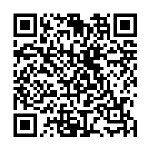 也不能怪白残谱以这么歹毒的心思猜测他的这些合作伙伴二维码生成