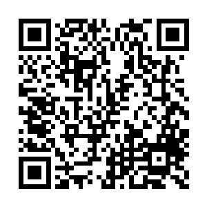 也不能肯定中央就真的打算提前开展这项工作了二维码生成